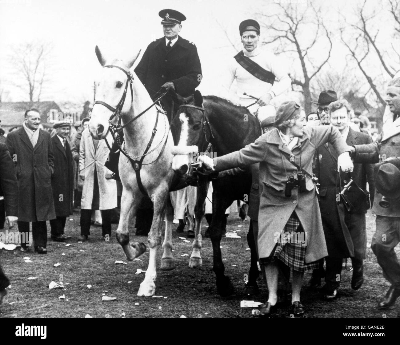 Les courses de chevaux - le Grand National Aintree - Banque D'Images