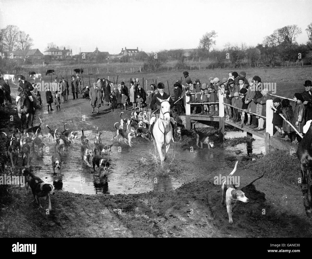 & Douanes Tradtions - Chasse - Foxhounds - Malvern Hunt - 1931 Banque D'Images