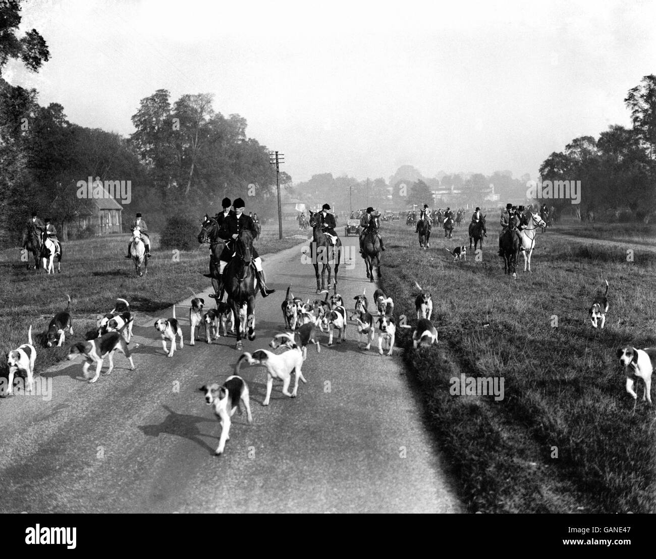 La campagne britannique - Chasse - Foxhounds - 1930 Banque D'Images