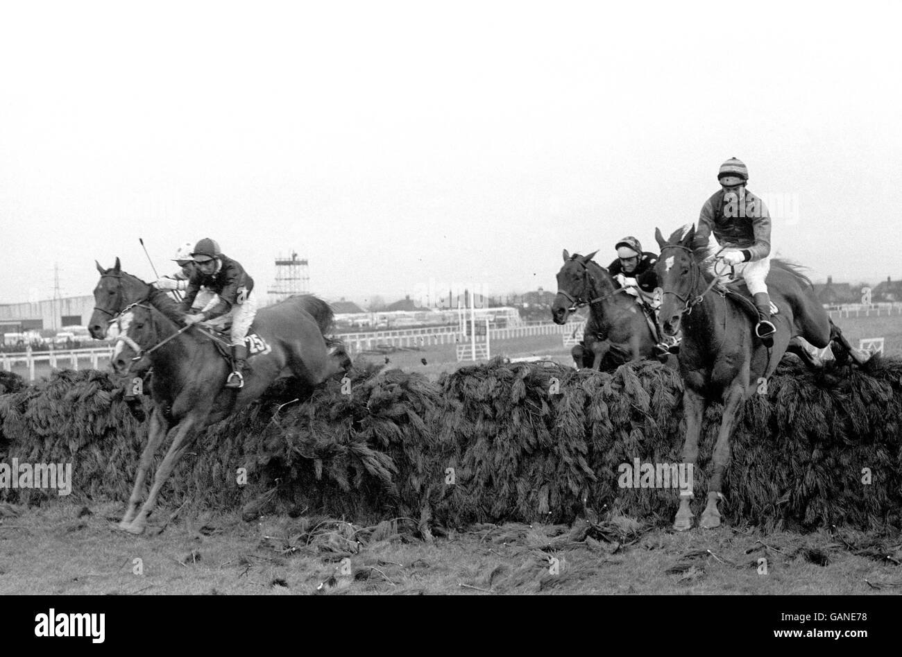 Eh bien à faire (r), Graham Thorner, prend la dernière clôture devant gay Trip (loin l), Terry Biddlecombe up, General Symons (l), P Kiely up, et Black Secret (deuxième r), S Barker up Banque D'Images