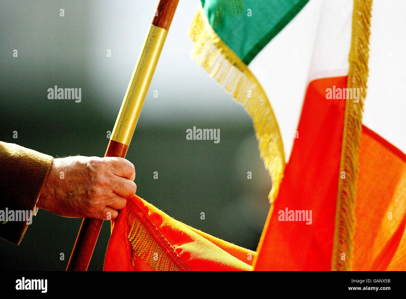 Un membre de la fête de la couleur tient le tricolore à la Fianna Fail Arbour Hill Commenation annuelle à Dublin.Outgoing Taoiseach Bertie Ahern a affirmé aujourd'hui que sa plus grande réalisation était la paix sur l'île d'Irlande et a exhorté la prochaine génération à poursuivre le bon travail.Dans son discours final à la commémoration annuelle de Fianna Fail 1916 à Arbour Hill, M. Ahern a déclaré que les communautés loyalistes du nord doivent être aiées pour aller au-delà du conflit photo Date dimanche 27 avril 2008.Le crédit photo devrait indiquer : Julien Behal/ PA Wire Banque D'Images