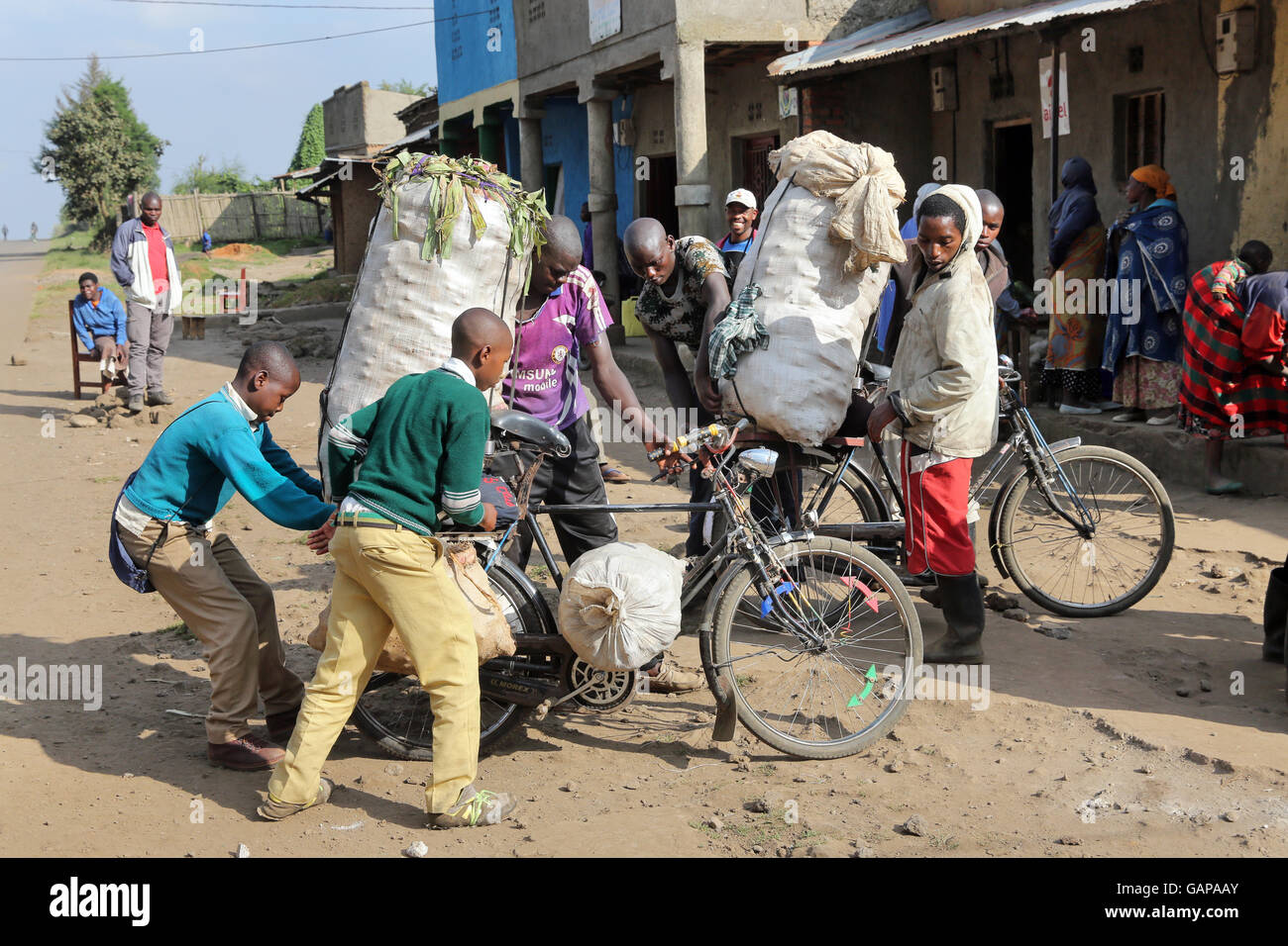 Les vélos sont utilisés comme taxis pour les charges lourdes, village près de Ruhengeri, Rwanda, Afrique du Sud Banque D'Images