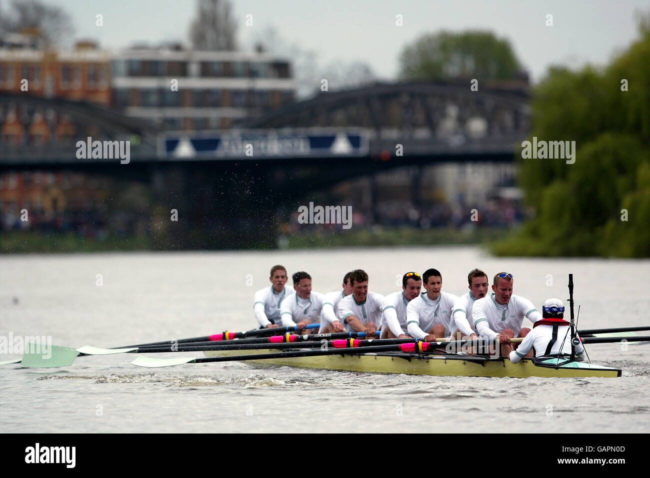 L'équipage de Cambridge a mis le pouvoir et l'effort contre Oxford dans la course la plus serrée jamais Banque D'Images