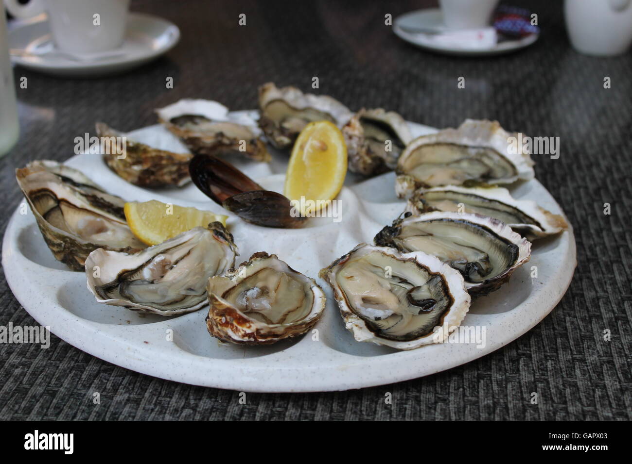 Une assiette d'huîtres, fruits de mer, sud de la France, Vias, une saine alimentation, l'alimentation, du poisson frais Banque D'Images