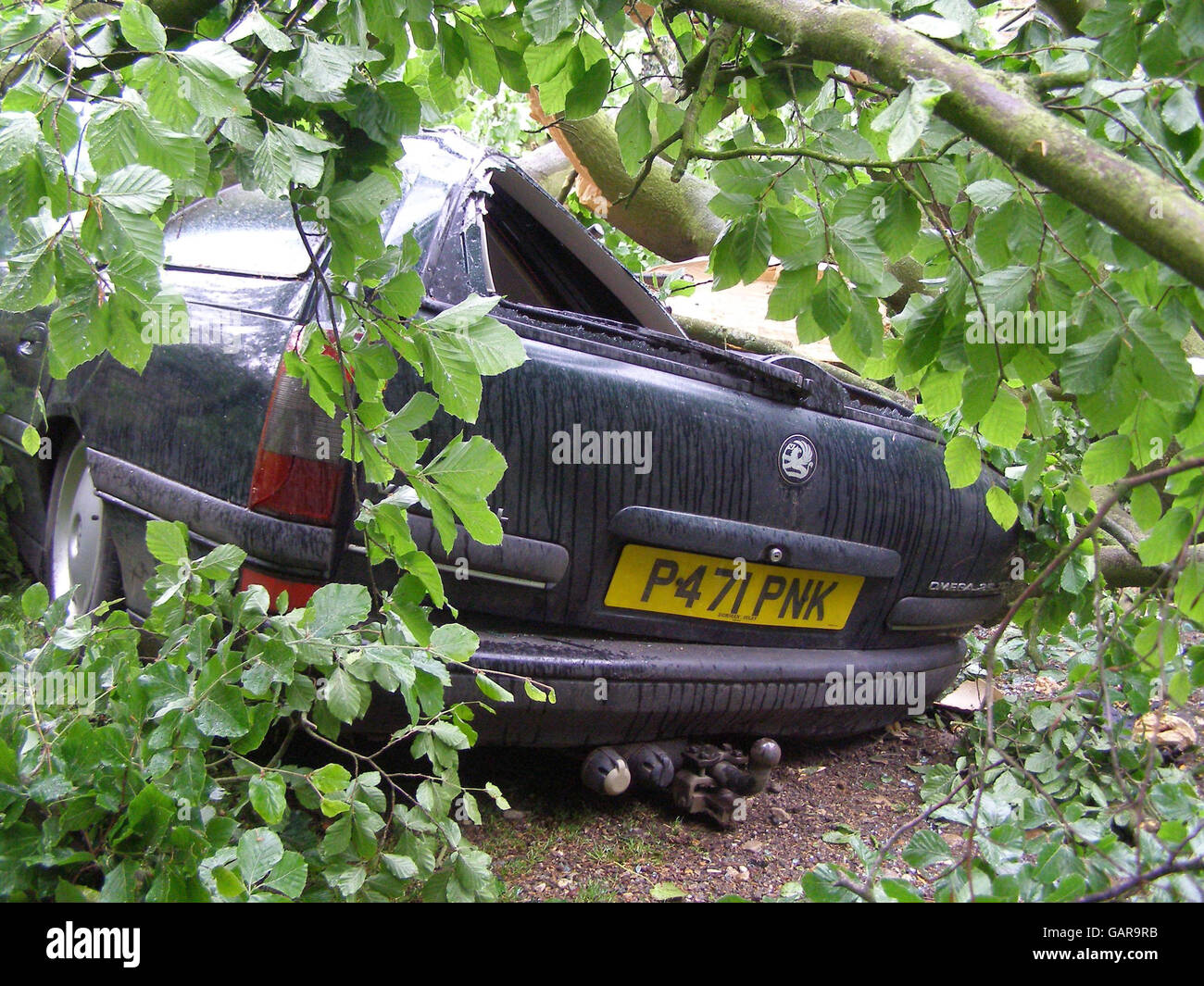 Une voiture est écrasée par un arbre dans un parking d'église à Ashby St Ledgers, près de Daventry, dans le Northamptonshire. Banque D'Images