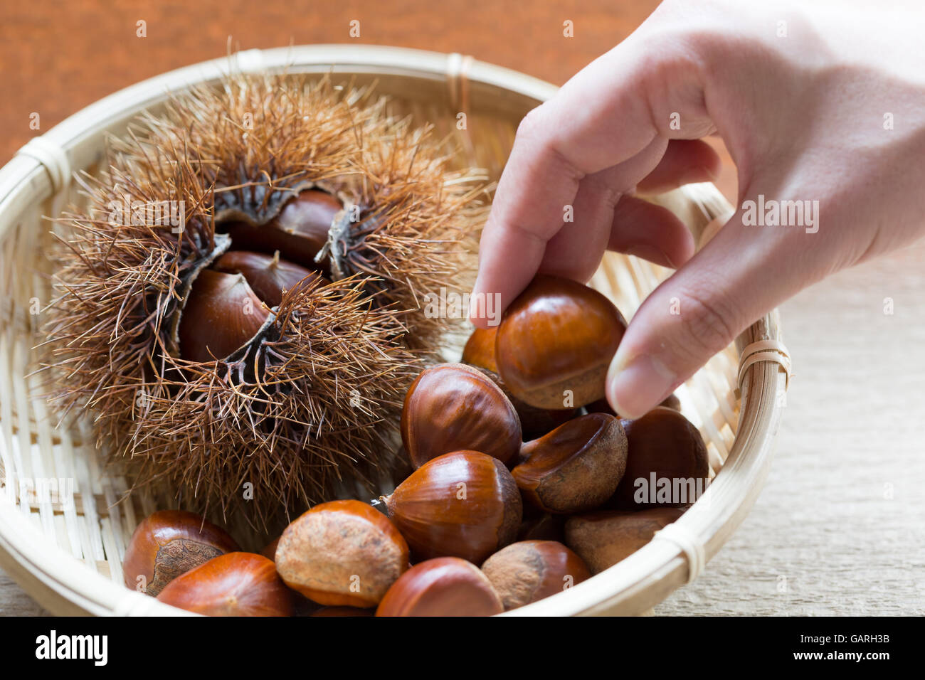 Castanea Crenata Banque D'image Et Photos - Alamy
