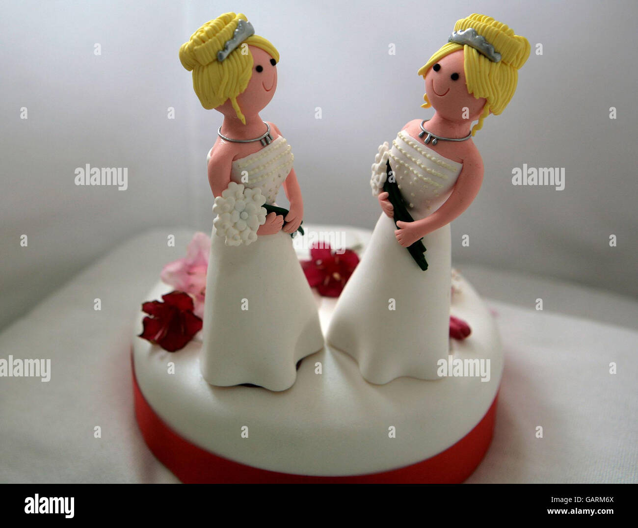 Vue Generale D Un Topper De Gateau De Mariage Pour Une Ceremonie De Partenariat Civil Photo Stock Alamy