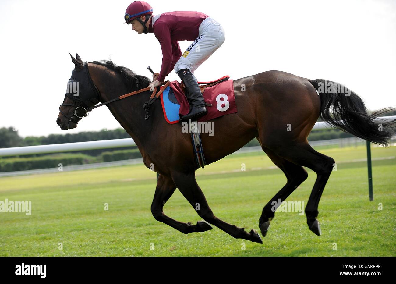 Racontez la compétition du jockey Steve Drowne au Timeform Silver Salver à Haydock Park Banque D'Images