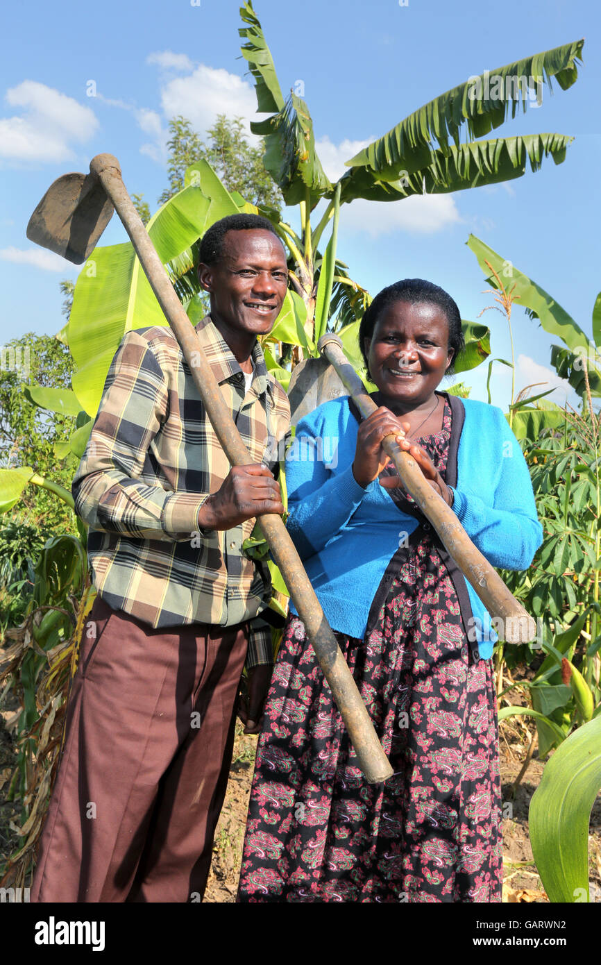Farmer couple dans la bananeraie au Rwanda, l'Afrique Banque D'Images