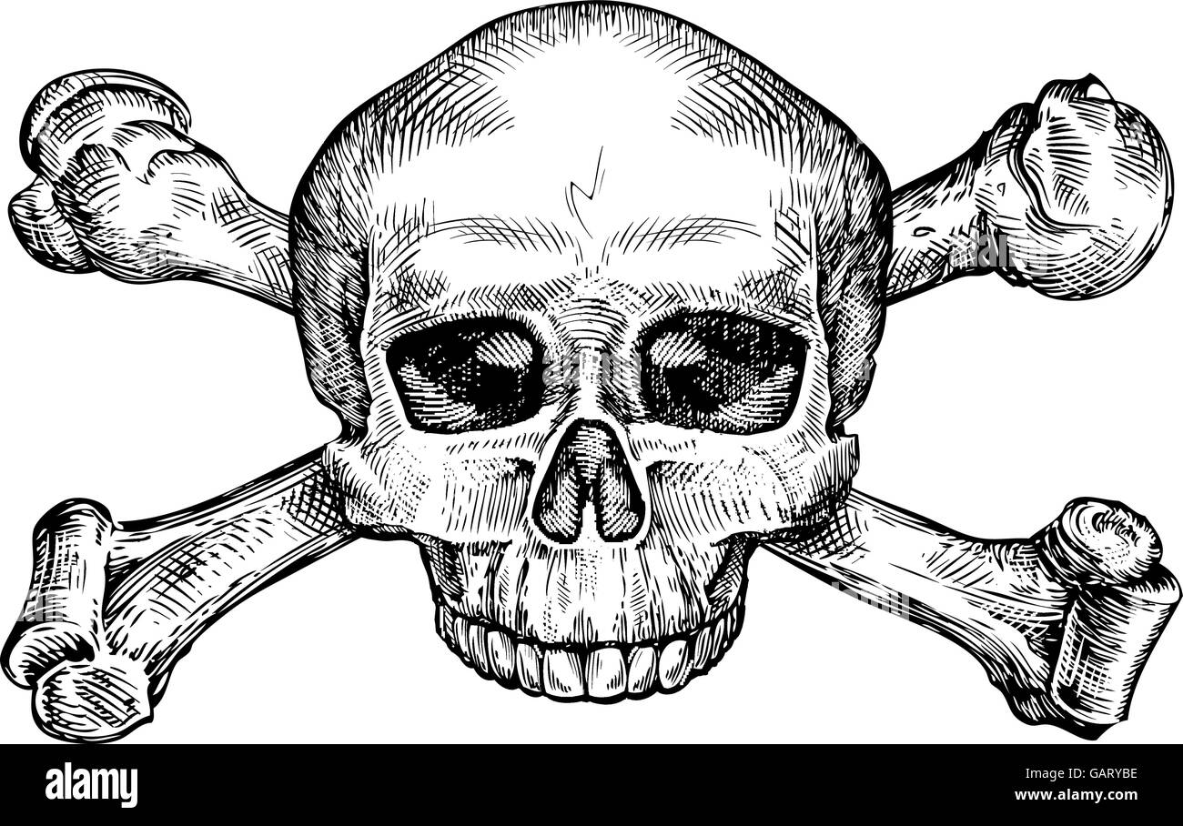 Jolly Roger. Les droits de l'dessinés à la main, tête de mort. Vector illustration croquis Illustration de Vecteur
