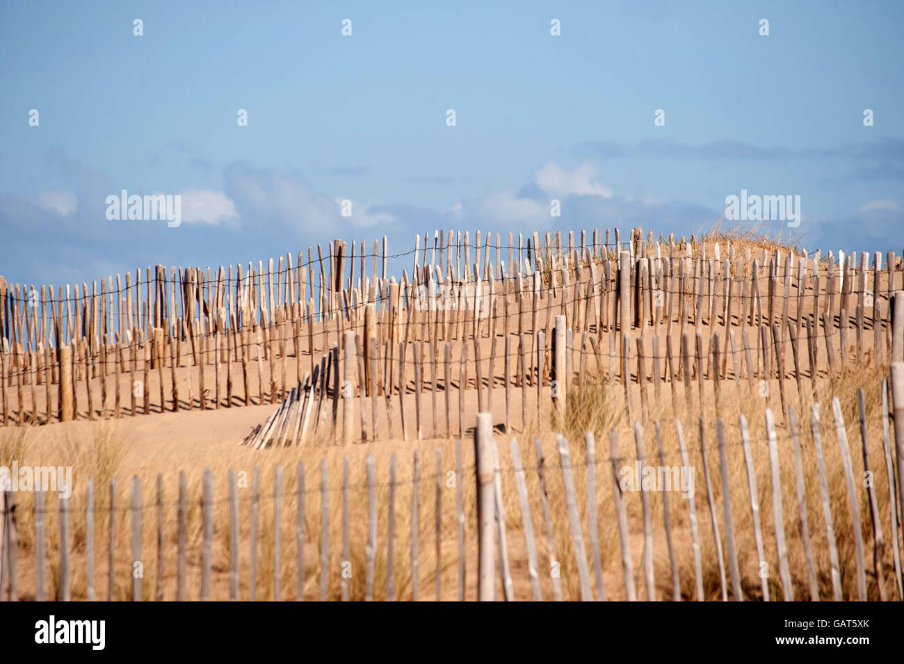 Fosse de sable l'escrime sur Liitlehaven Beach, South Shields, South Tyneside Banque D'Images