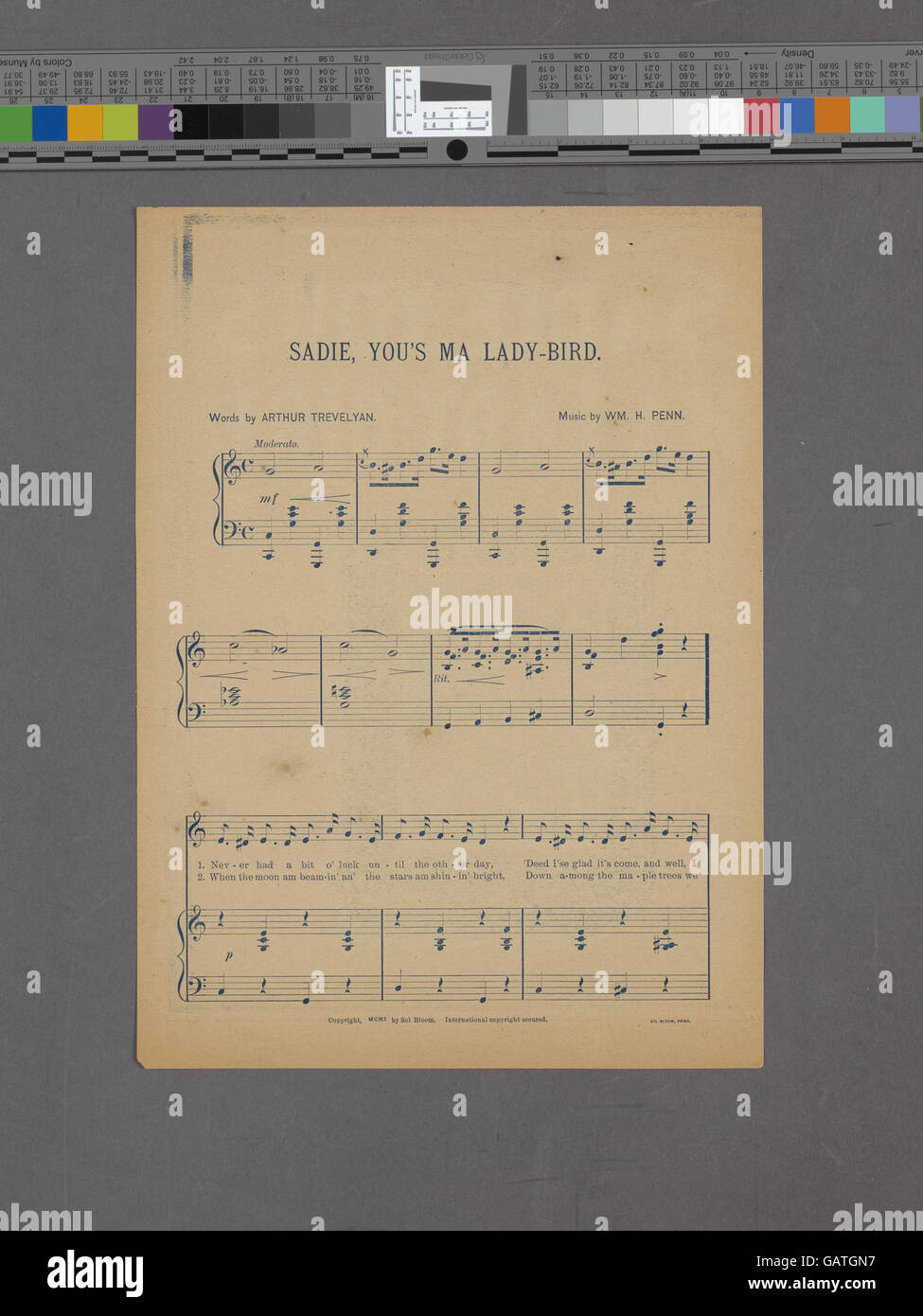 Une ligne ou une phrase, peut-être tirée d'une chanson, se référant à Sadie comme une « dame-oiseau », symbolisant l'affection ou l'affection, typique dans les chansons sentimentales ou d'amour. Banque D'Images