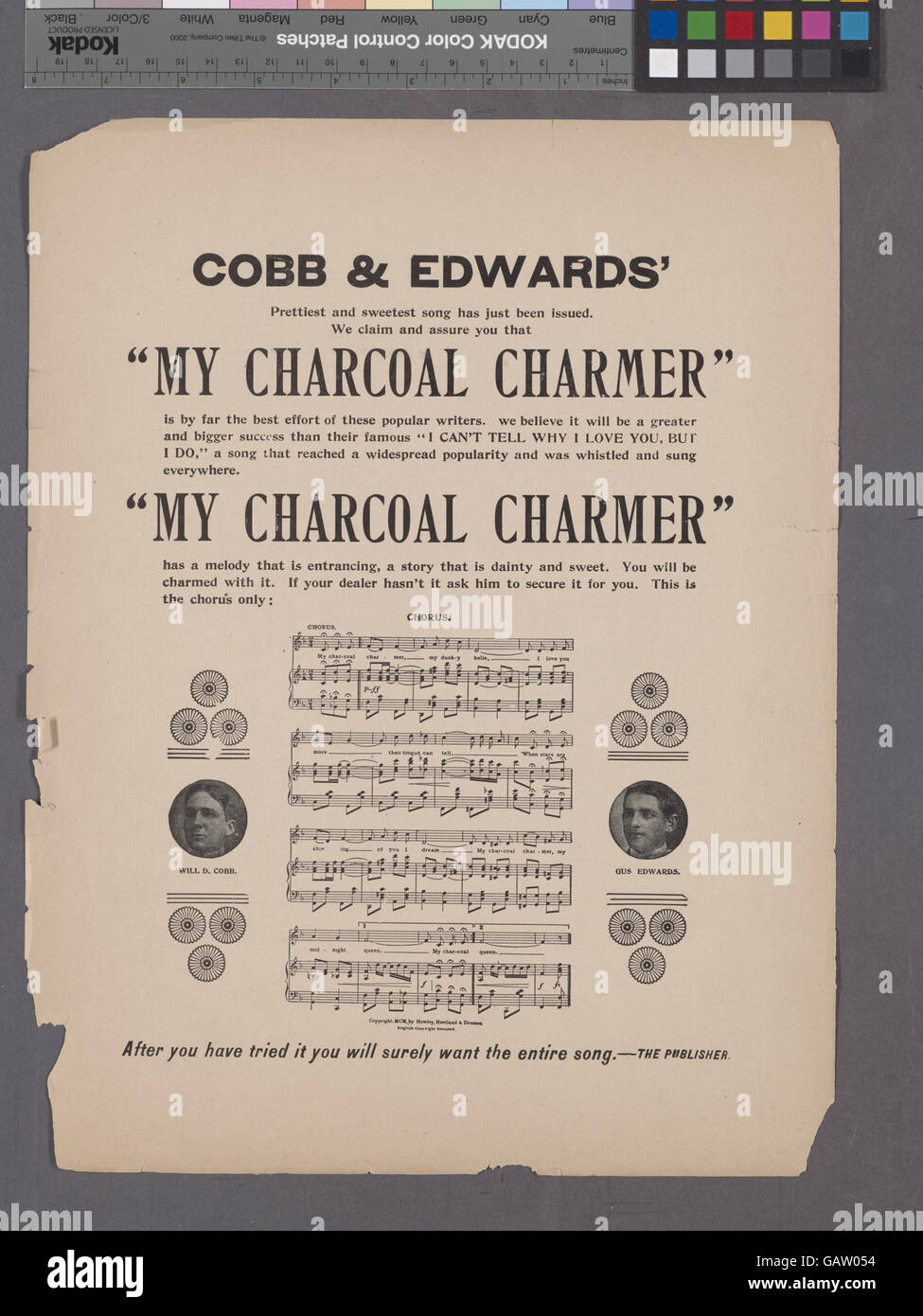 « Mr. volontaire ou vous n'appartenez pas aux réguliers, vous êtes juste un volontaire » est une référence historique au rôle des volontaires dans l'armée, particulièrement en temps de guerre, soulignant la distinction entre soldats réguliers et forces volontaires. Banque D'Images