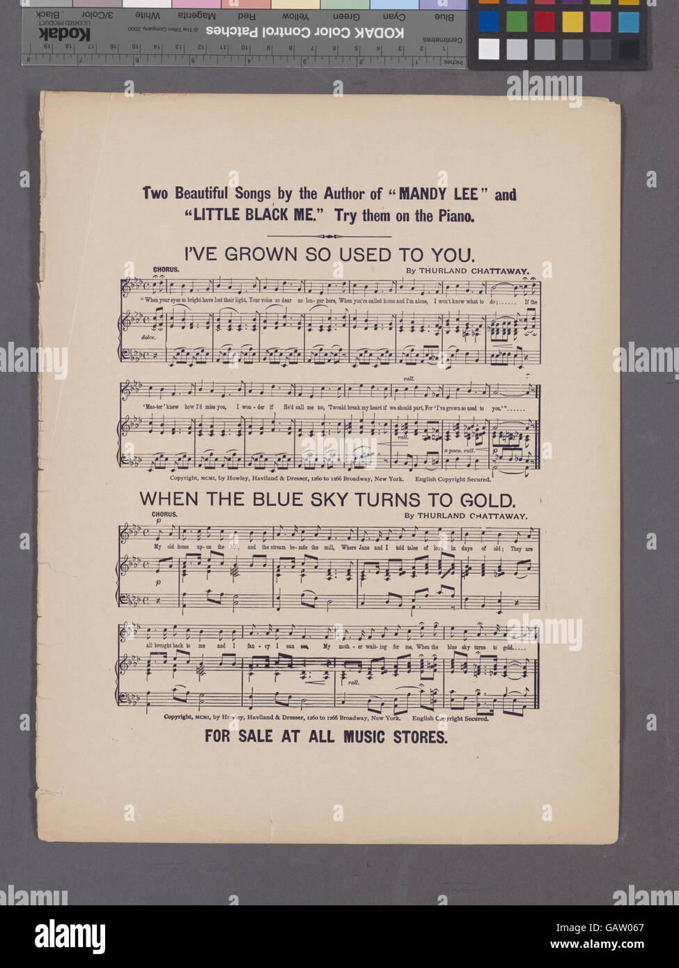 Cette phrase semble mettre en évidence la distinction entre soldats réguliers et volontaires, reflétant peut-être la culture militaire ou les pratiques de recrutement, mettant l'accent sur le rôle du volontaire dans des contextes historiques tels que la guerre ou les événements militaires. Banque D'Images