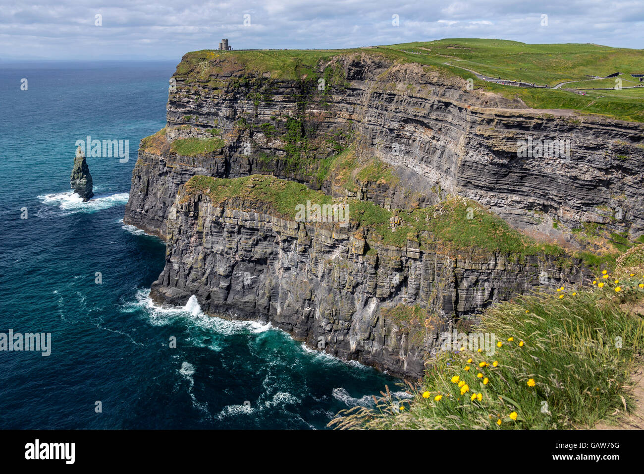 Les falaises de Moher - situé à la limite sud-ouest de la région du Burren dans le comté de Clare, Irlande. Banque D'Images