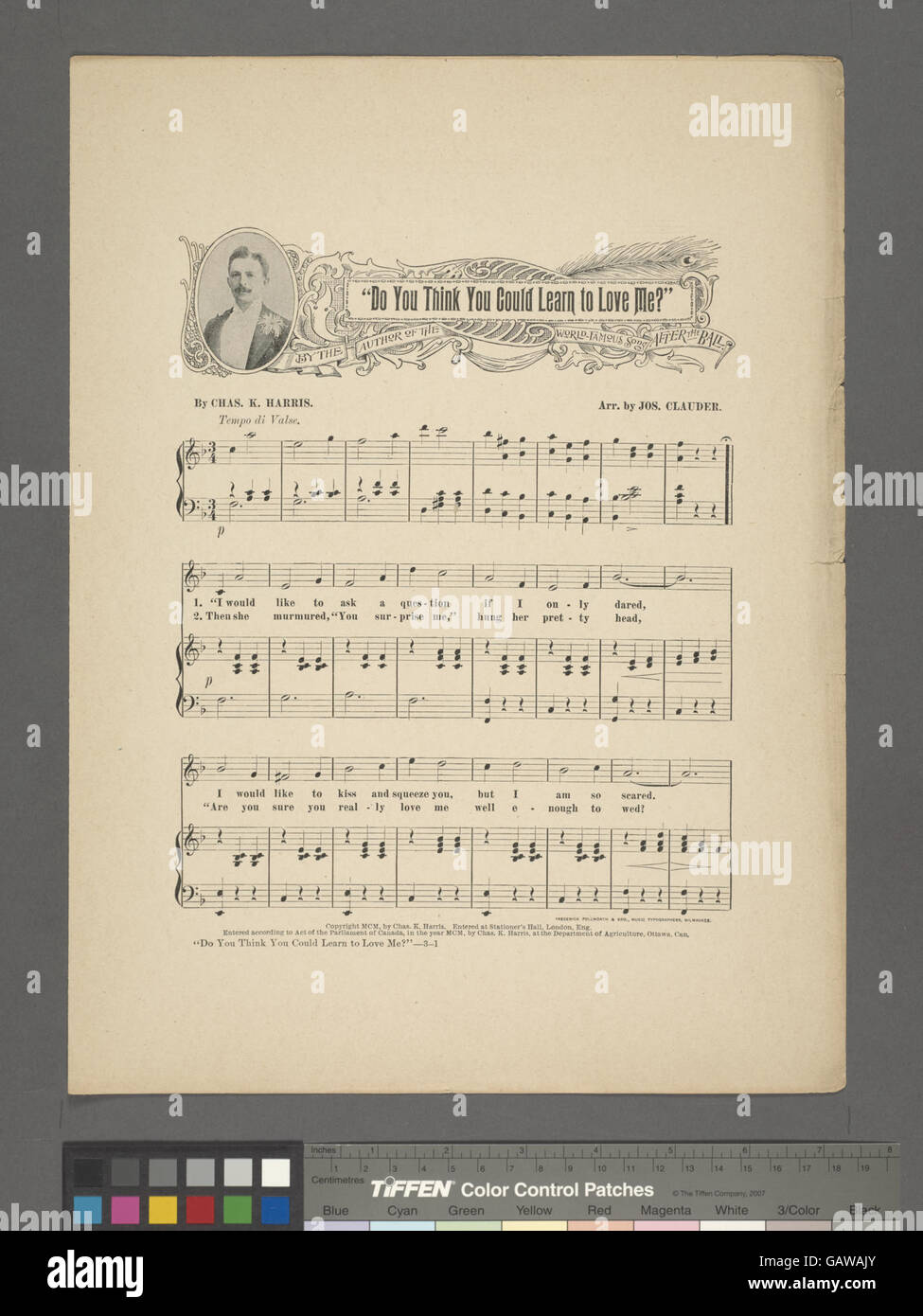 "Pensez-vous que vous pourriez apprendre à m'aimer" reflète un sentiment de désir et de vulnérabilité émotionnelle, lorsque l'orateur demande si l'amour peut se développer au fil du temps. Il explore les thèmes de l'amour, du désir et de la possibilité de croissance dans les relations. Banque D'Images