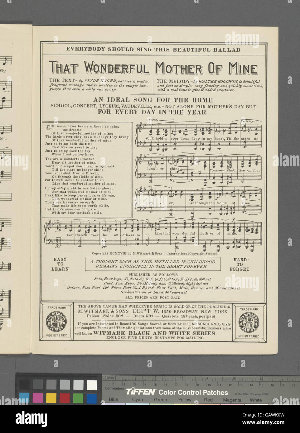 Une expression simple, « parce que », évoquant potentiellement un sens plus profond ou un contexte lié à la cause et à l'effet, à la justification ou au raisonnement émotionnel. Banque D'Images