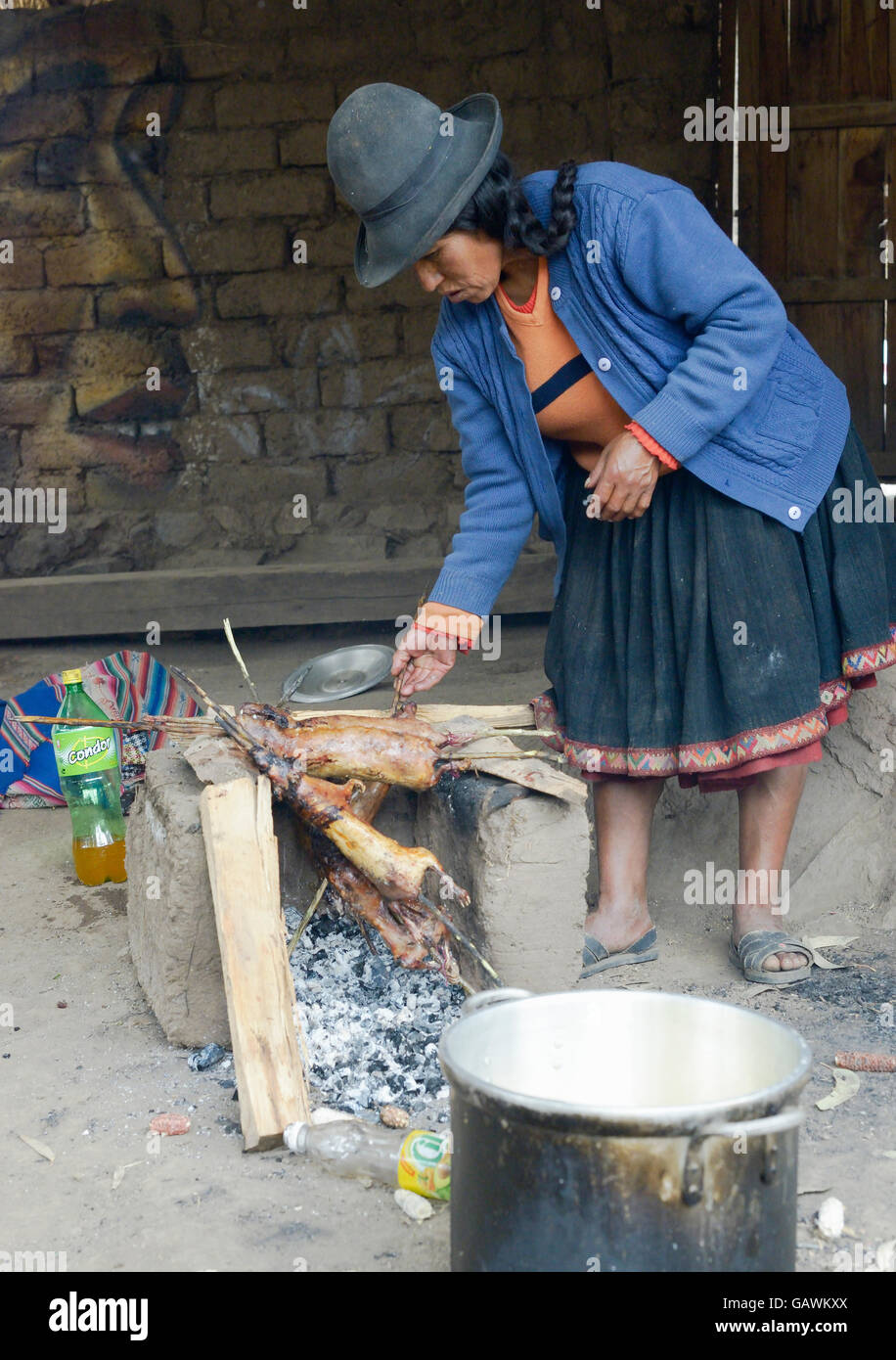 Femme péruvienne autochtone la préparation de cobayes sur le feu. Les cochons sont plat spécial au Pérou, préparé pour les mariages et cérémonies religieuses. Banque D'Images