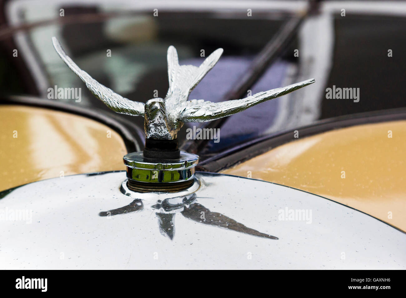 Hotte ornement sur voiture classique Photo Stock - Alamy