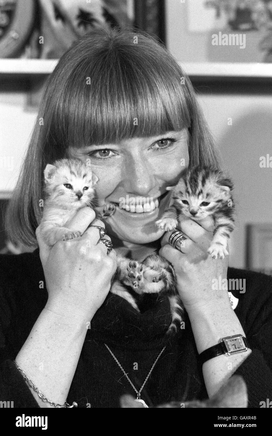 Lesley Judd, présentatrice Blue Peter de BBC-TV, à Londres, avec deux chatons jumeaux tabby de trois semaines, qui font leur arc sur le programme pour la première fois. Banque D'Images