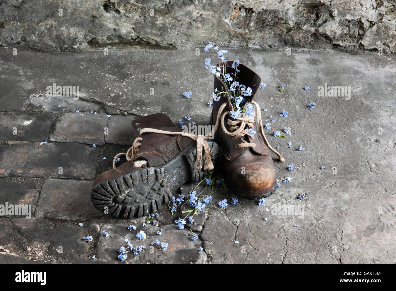 Une paire de bottes de travail en cuir ancien atelier de marbre avec forget-me-not fleurs. Banque D'Images