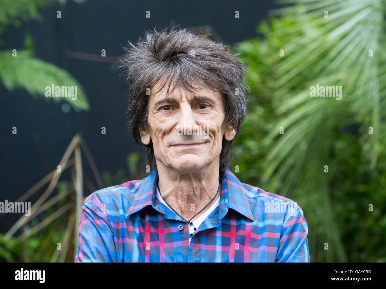 Le guitariste des Rolling Stones, Ronnie Wood à la RHS Hampton Court Flower show sur un stand qui soutiennent les personnes atteintes de cancer de l'intestin Banque D'Images