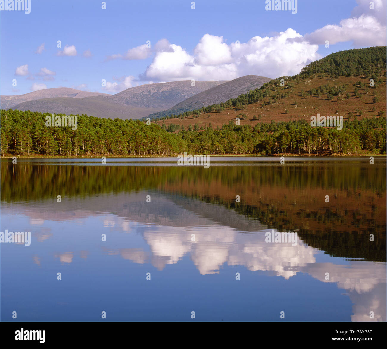 Loch an Eilein, les Highlands écossais, Cairngorms Banque D'Images