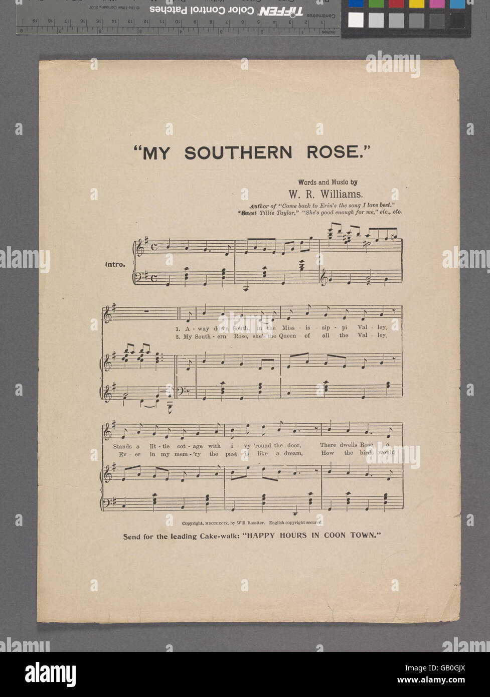 'My Southern Rose' évoque une image romantique, représentant peut-être une belle du Sud ou une femme du Sud américain, symbolisant la grâce, la beauté et le charme du Sud. Le titre peut souligner un lien avec l'identité culturelle du Sud. Banque D'Images