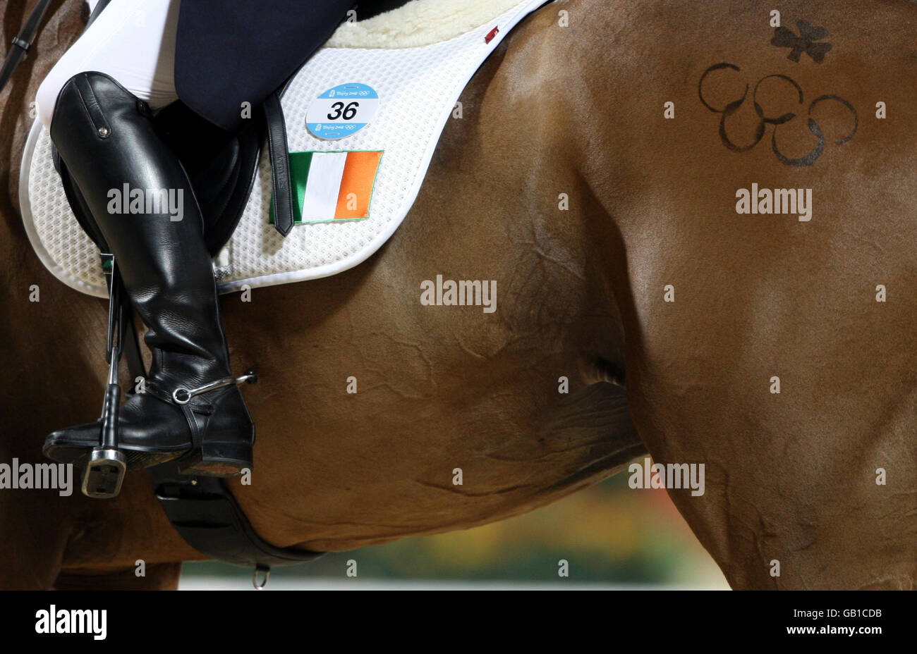 Louise Lyons, de l'Irlande, a été à l'écoute pendant le test de dressage le premier jour des Jeux Olympiques de Beijing qui s'est tenu au centre équestre de Shatin avant le test de dressage en soirée au centre équestre de Shatin, à Hong Kong, en Chine. Banque D'Images