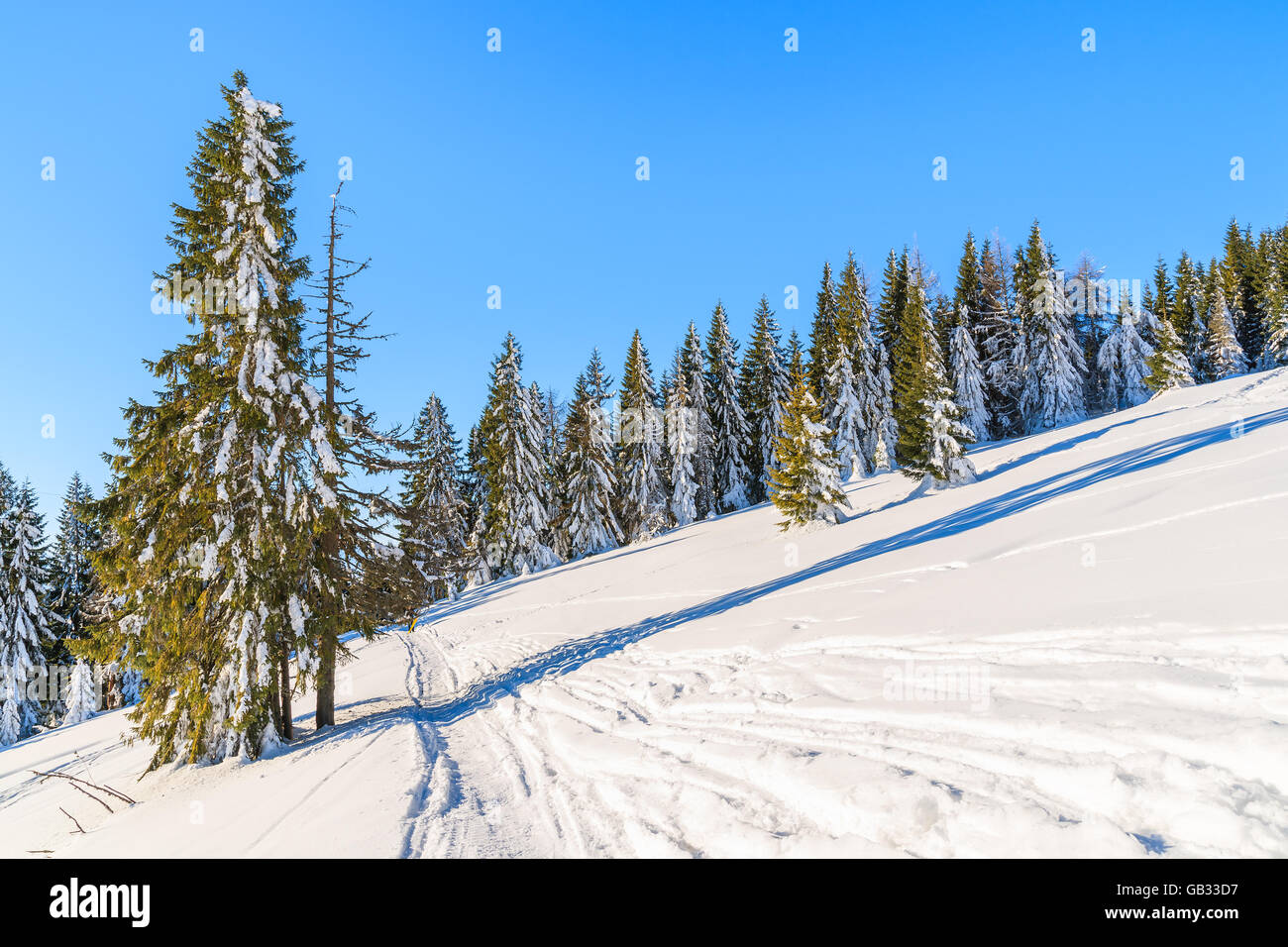 La route d'hiver dans les montagnes Gorce après les chutes de neige fraîche, Pologne Banque D'Images