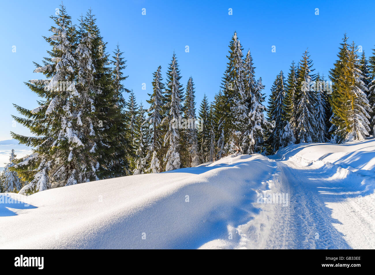 Sentier d'hiver après les chutes de neige fraîche dans les montagnes Gorce, Pologne Banque D'Images