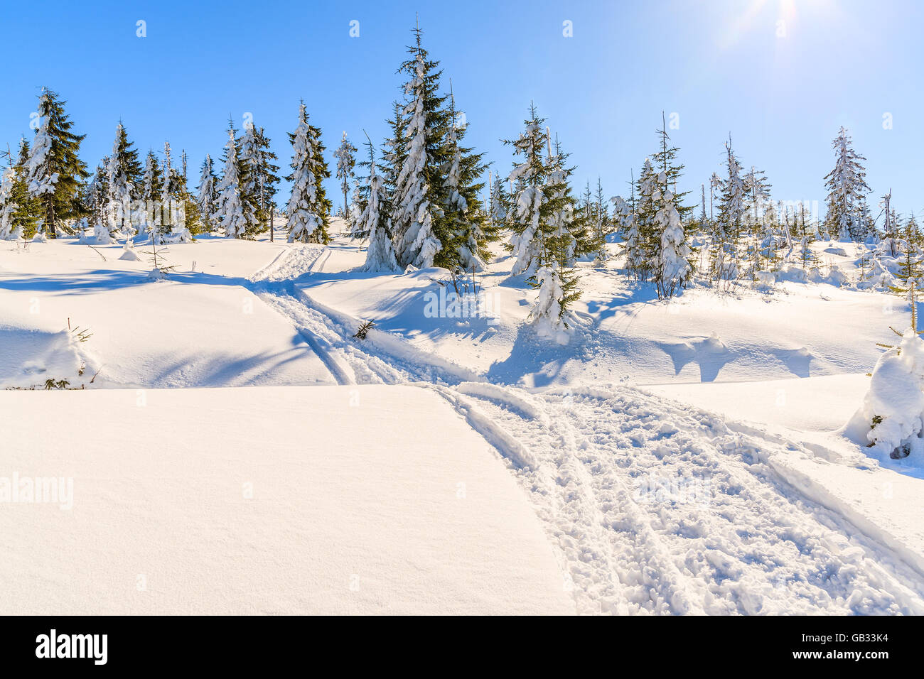 Piste de ski d'hiver dans la neige fraîche dans les montagnes Gorce, Pologne Banque D'Images