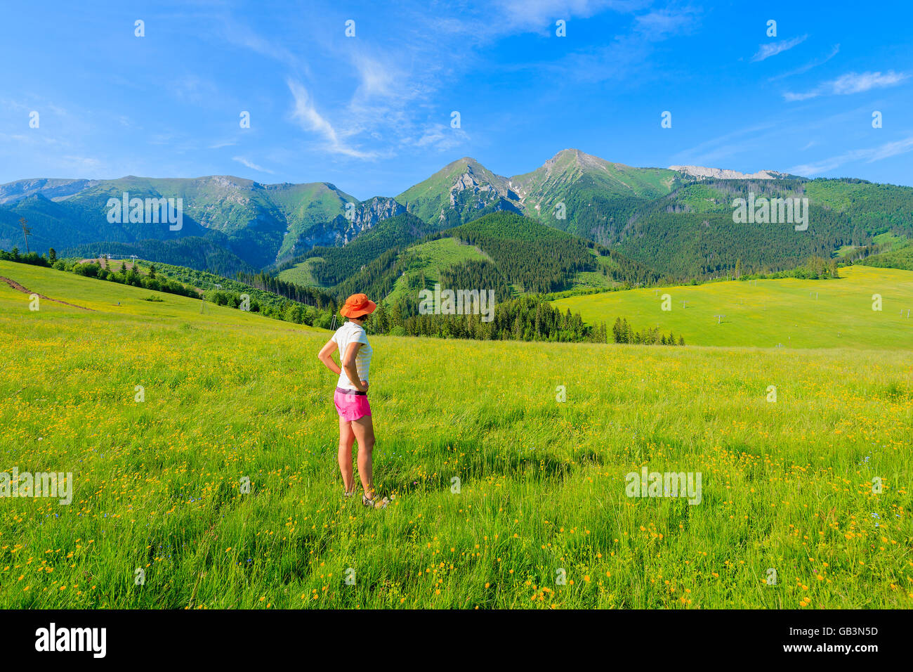 Jeune femme debout sur touristiques pré vert avec des fleurs jaunes et à l'été au paysage de montagnes Tatras, Slovaquie Banque D'Images