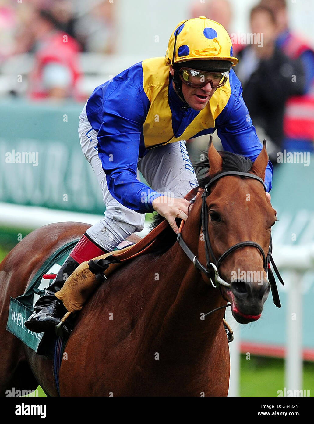 Les courses de chevaux - l'Weatherbys Insurance Mesdames Jour - Hippodrome de Doncaster Banque D'Images