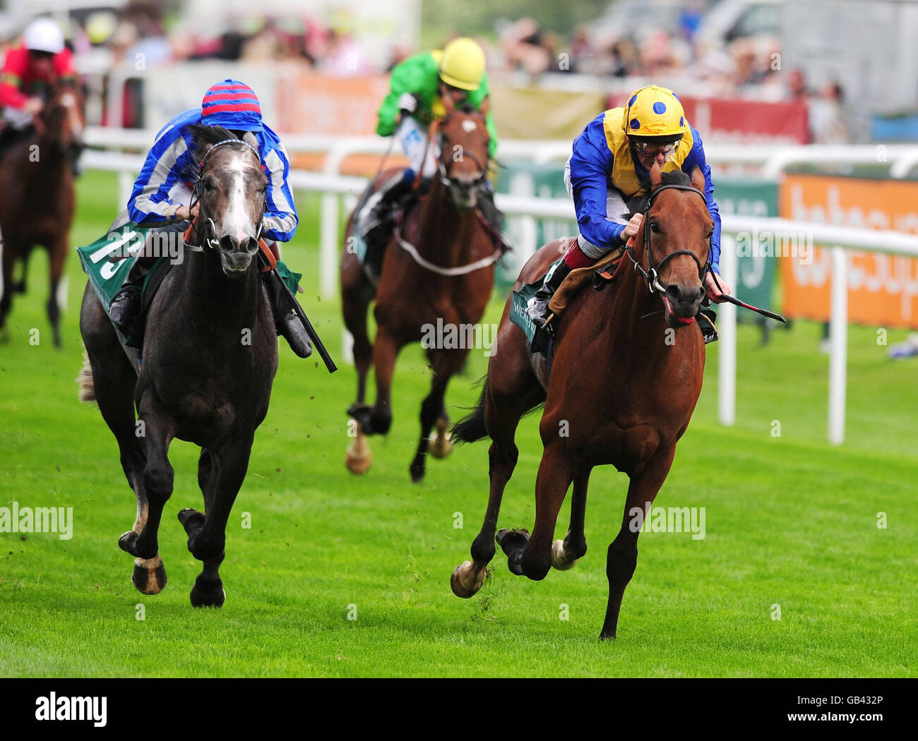 Les courses de chevaux - l'Weatherbys Insurance Mesdames Jour - Hippodrome de Doncaster Banque D'Images