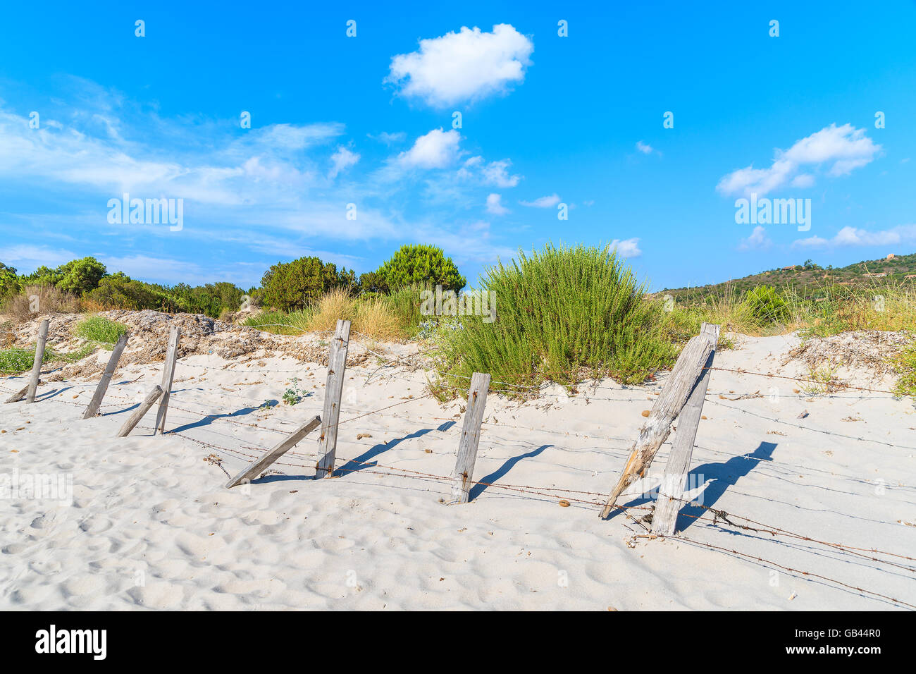 Clôture en bois sur dune de sable à la plage de Palombaggia, Corse, France Banque D'Images