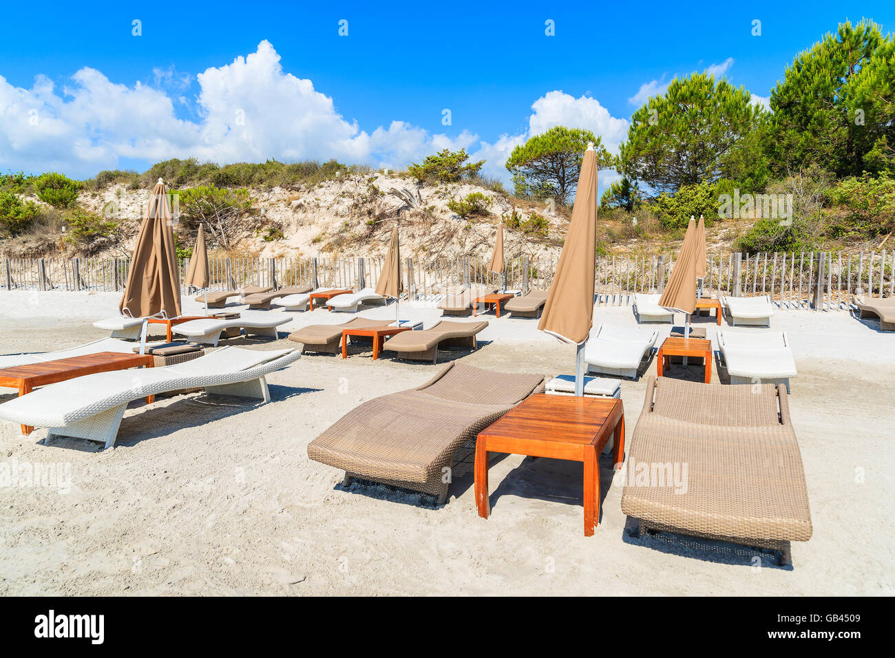 Chaises longues sur la célèbre plage de sable blanc la plage de Palombaggia, Corse, France Banque D'Images