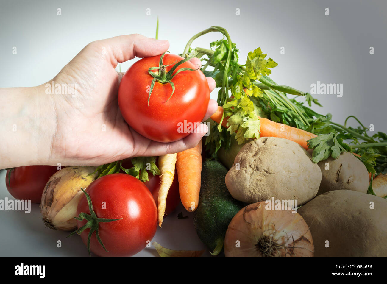 Mains tenant les tomates fraîchement récolté. Focus sélectif. Banque D'Images
