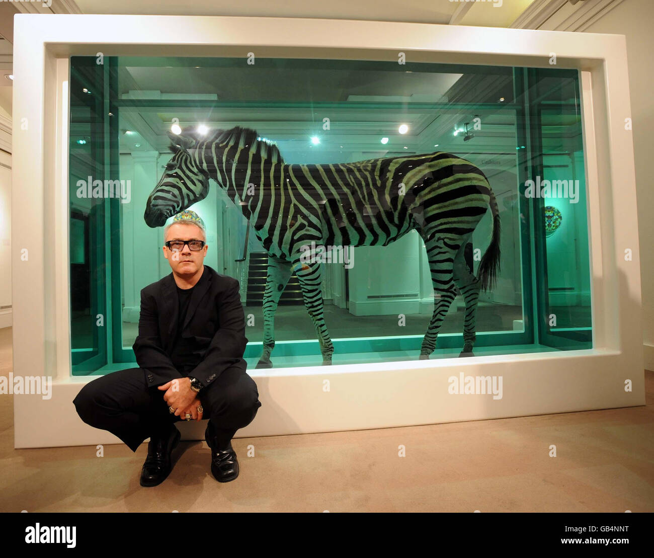 Damien Hirst avec l'une de ses œuvres, The Incredible Journey, un zèbre en formaldéhyde estimé à environ 3 millions sur l'exposition à Southeby's à Londres. Banque D'Images