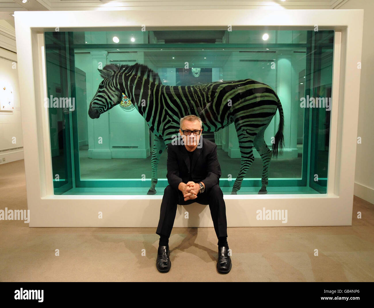 Damien Hirst avec l'une de ses œuvres, The Incredible Journey, un zèbre de formaldéhyde estimé à environ 3 millions sur l'exposition à Sotheby's à Londres. Banque D'Images