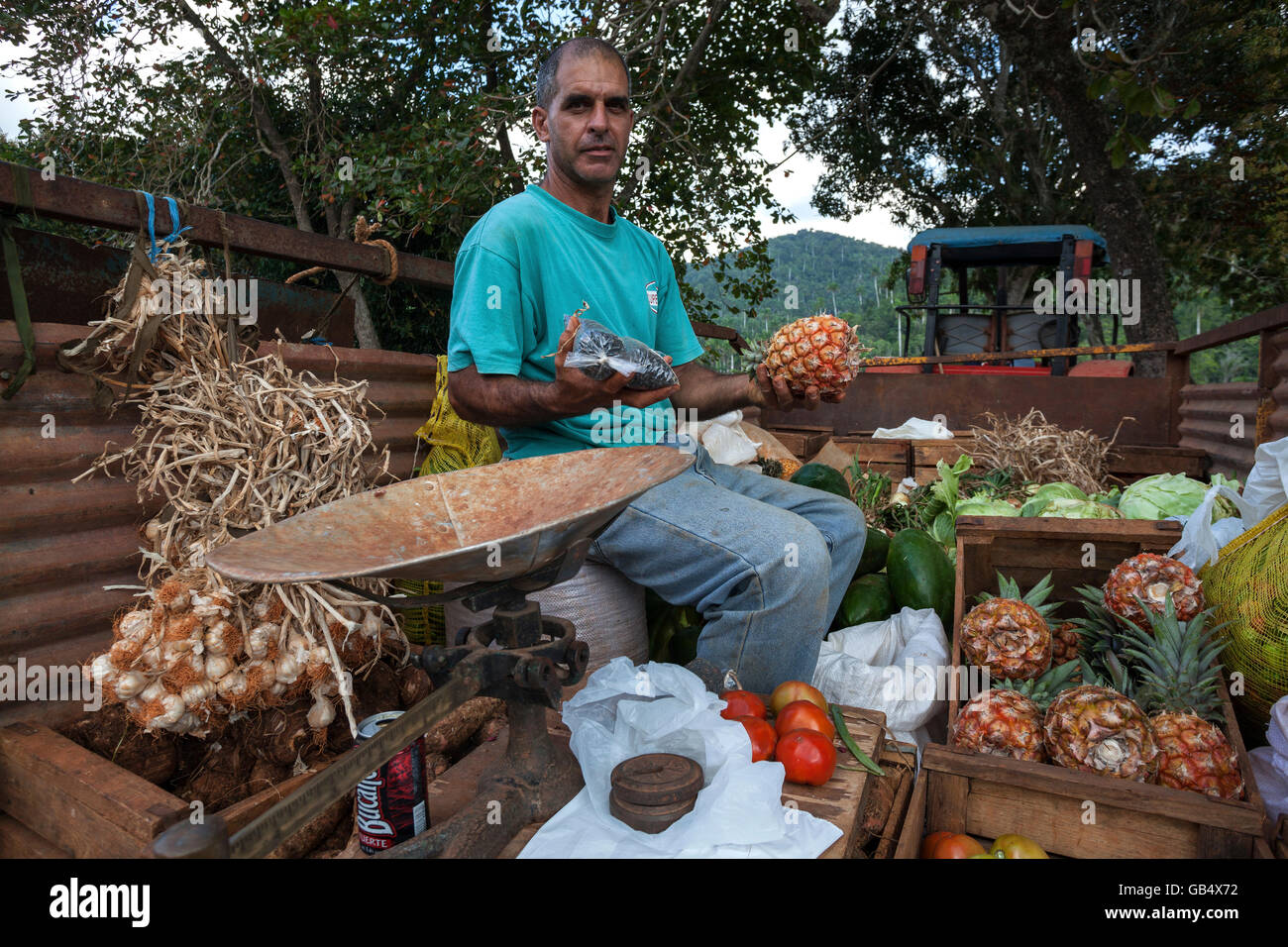 Vendeur de fruits, légumes de vendeur, la vente sur la plate-forme d'une remorque de voiture, Las Terrazas, Artemisa Province, Cuba Banque D'Images