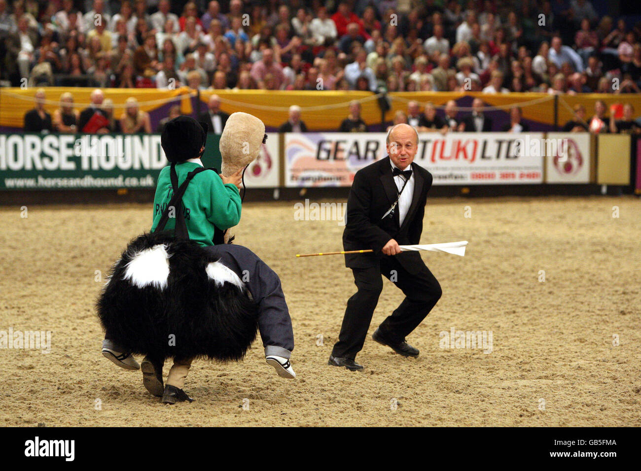 Le Prince Philip Cup Pony Club a monté les jeux le quatrième jour du spectacle du Cheval de l'année à l'arène NEC à Birmingham. Banque D'Images