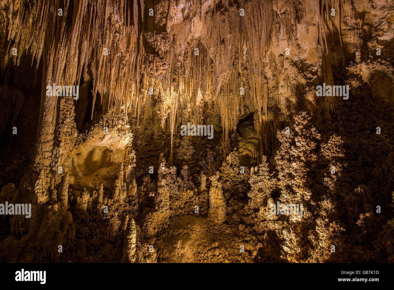 Le Parc National de Carlsbad Caverns, Nouveau-Mexique Banque D'Images