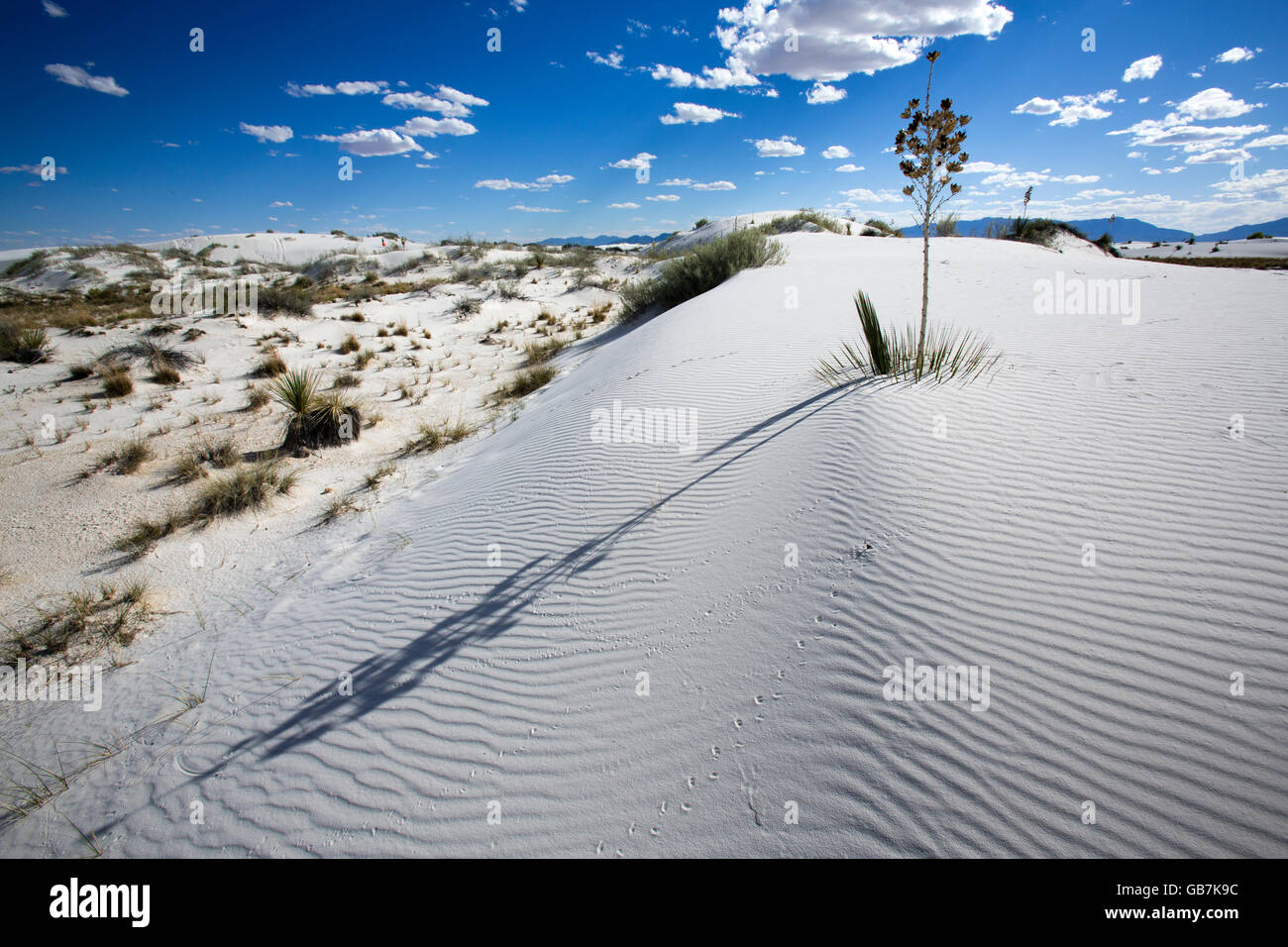 White Sands National Monument Nouveau Mexique Banque D'Images