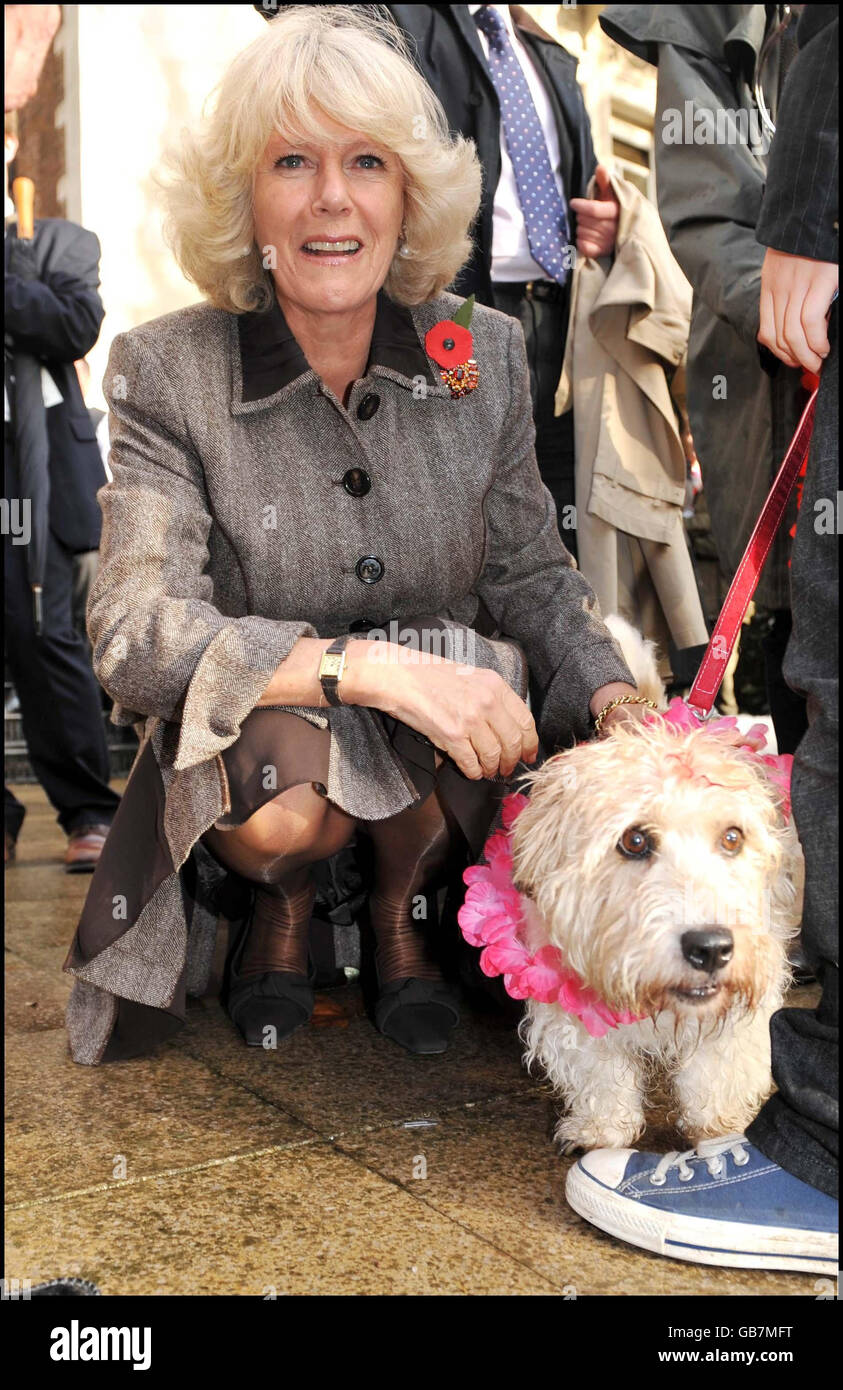 La duchesse de Cornwall attaque un chien lors d'une célébration caritative du « jour du chien » népalais dans le jardin de la Royal Over-Seas League à Londres. Banque D'Images