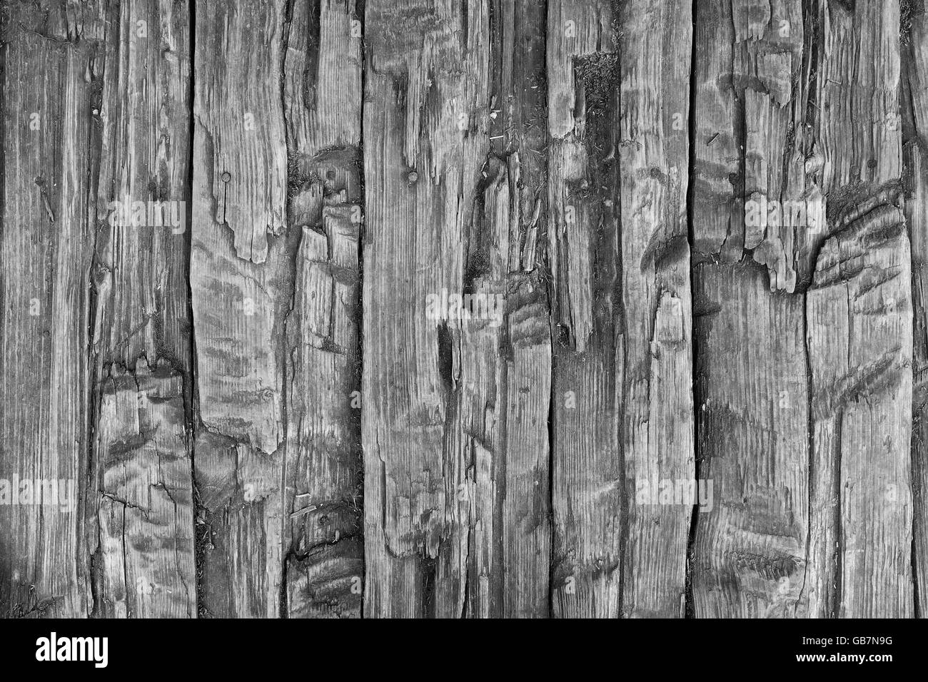 Arrière-plan de plancher de bois Banque D'Images