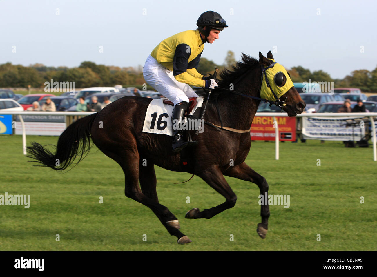Les courses de chevaux - Fakenham Racecourse Banque D'Images
