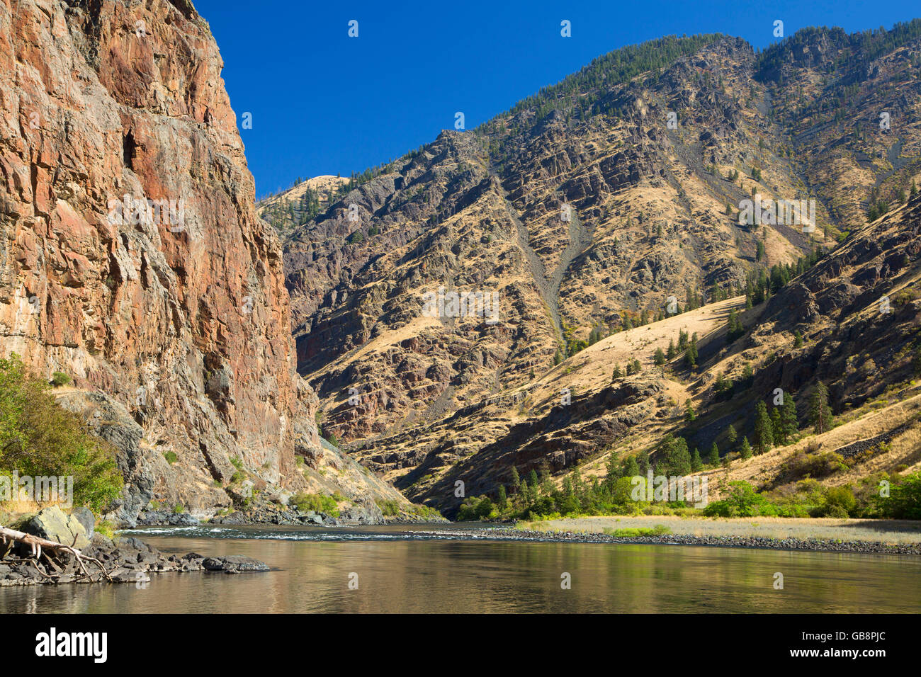 Snake Wild and Scenic River le long du sentier de goujon, Hells Canyon National Recreation Area, New York Banque D'Images