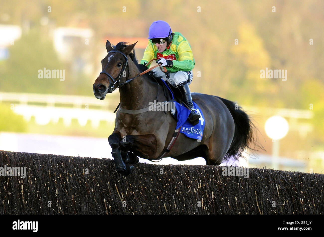 Les courses de chevaux - Tingle Creek Jour - Sandown Park Banque D'Images