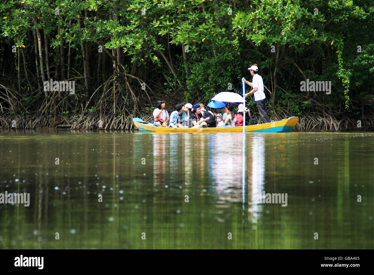 Traveler s'écotourisme, visitez le paysage naturel sur le bateau bateau de ligne, réfléchir sur l'eau entre dans la jungle verte Can Gio Banque D'Images